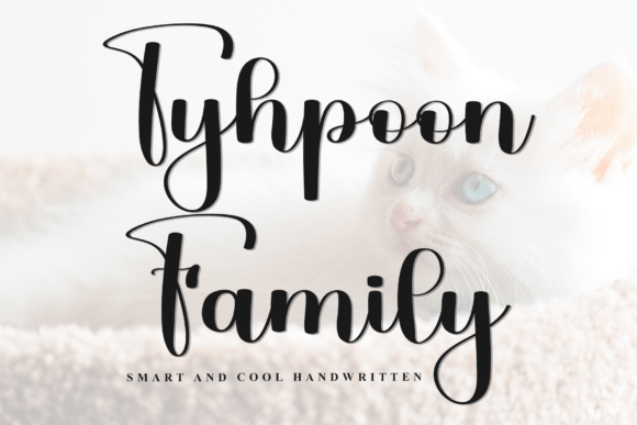 Tyhpoon Family: A Soft, Eye-Catching Script Font for Branding